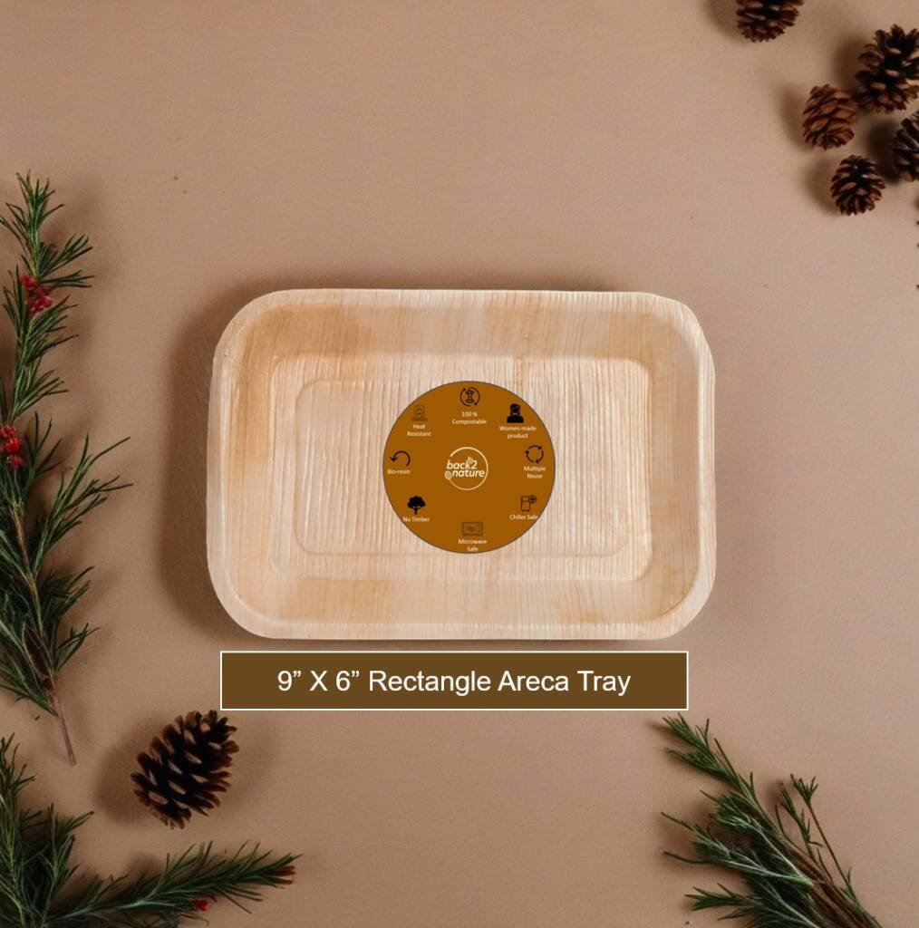 9 x 6 Inch Rectangle Areca Tray